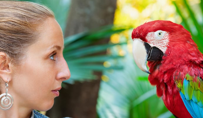 Viva el arte de la observación de aves