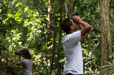 guided-nature-walk-hotel-punta-leona-01